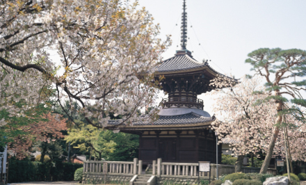 TAHŌ-TŌ